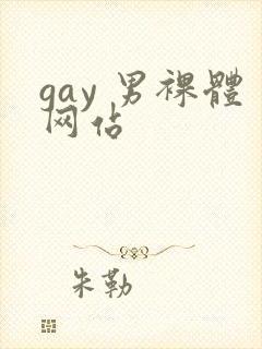 gay 男裸体网站封面