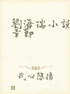 刘海瑞小说最新章节