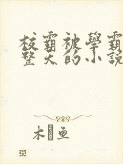 校霸被学霸罚一整天的小说笔趣阁