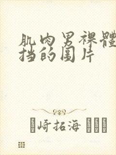 肌肉男裸体无遮挡的图片