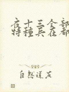 夜十三全部小说特种兵在都市封面