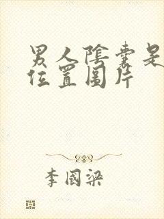 男人阴囊是哪个位置图片