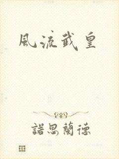 风流武皇封面
