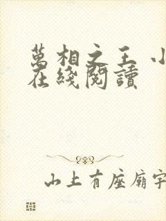 万相之王 小说在线阅读封面