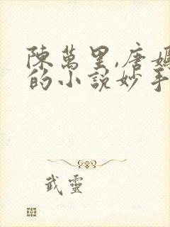 陈万里,唐嫣然的小说妙手大仙医