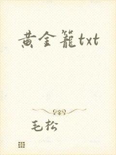 黄金笼txt