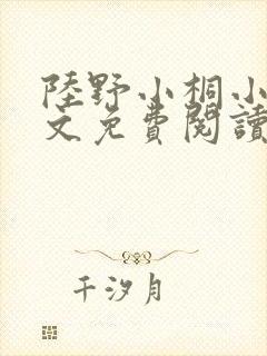 陆野小桐小说全文免费阅读封面