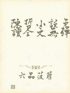 陈哲小说免费阅读全文无弹窗