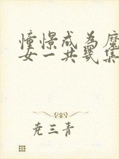 憧憬成为魔法少女一共几集