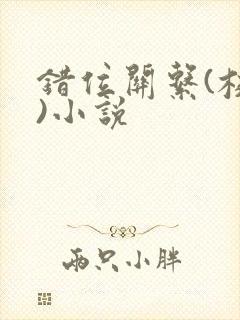 错位关系(校园)小说