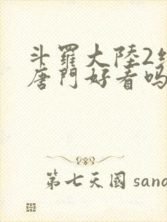 斗罗大陆2绝世唐门好看吗