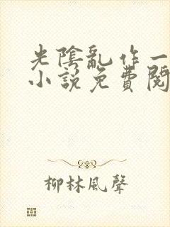 光阴乱作一团的小说免费阅读