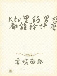 ktv里的男模都能干什么