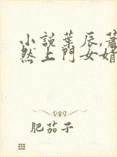 小说叶辰,萧初然上门女婿