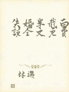 失婚半截白菜小说全文免费阅读封面