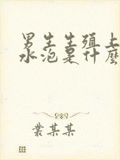 男生生殖上长小水泡是什么原因