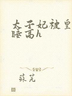 太子妃被皇上强睡高h封面