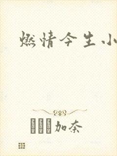 燃情今生小说封面