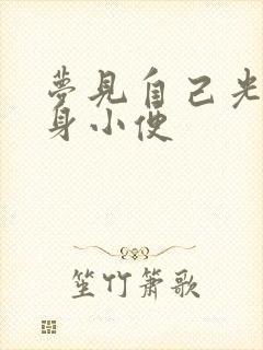 梦见自己光着全身小便