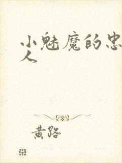 小魅魔的忠实仆人封面