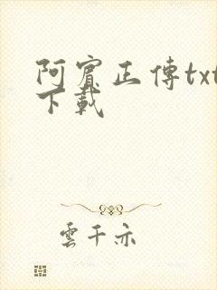 阿宾正传txt下载