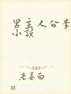 男主人公李文的小说