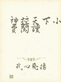 神控天下小说免费阅读