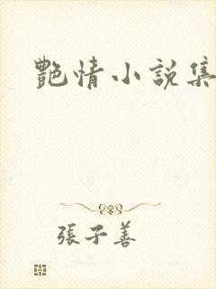 艳情小说集封面