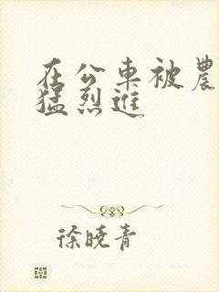 在公车被农民工猛烈进