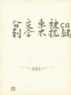 公交车被cao到合不拢腿app