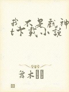 我不是戏神txt下载小说