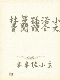 林曼孙浩小说免费阅读全文最新章节