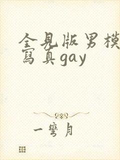 全见版男模私密写真gay封面