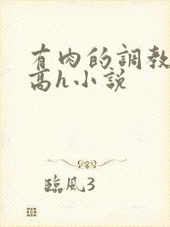 有肉的调教np高h小说