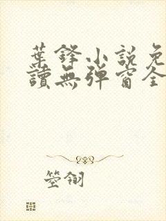 叶锋小说免费阅读无弹窗全文封面