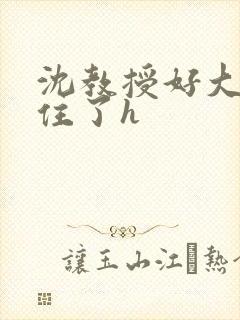 沈教授好大含不住了h