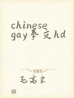 chinesegay拳交hd