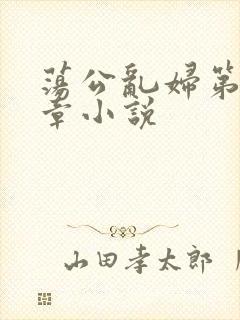 荡公乱妇第51章小说