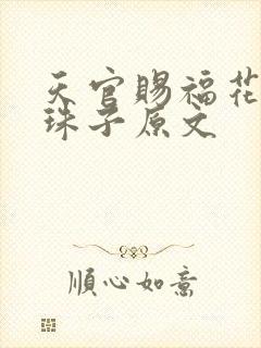 天官赐福花怜塞珠子原文封面