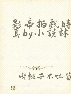 影帝拍戏时假戏真by小说林安