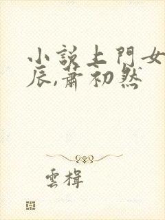 小说上门女婿叶辰,萧初然