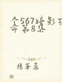 个567暗影宿命第8集