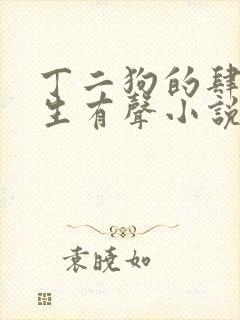 丁二狗的肆意人生有声小说免费