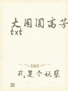 大团圆高芳小说txt