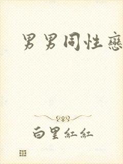 男男同性恋互操封面