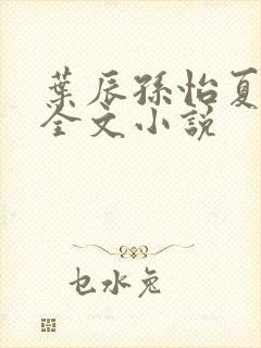 叶辰孙怡夏若雪全文小说