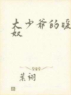 大少爷的暖床小奴