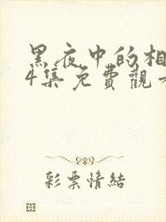 黑夜中的相拥24集免费观看