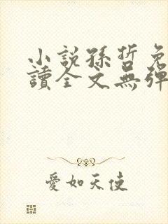 小说孙哲免费阅读全文无弹窗