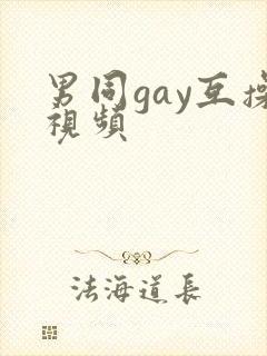 男同gay互操视频封面